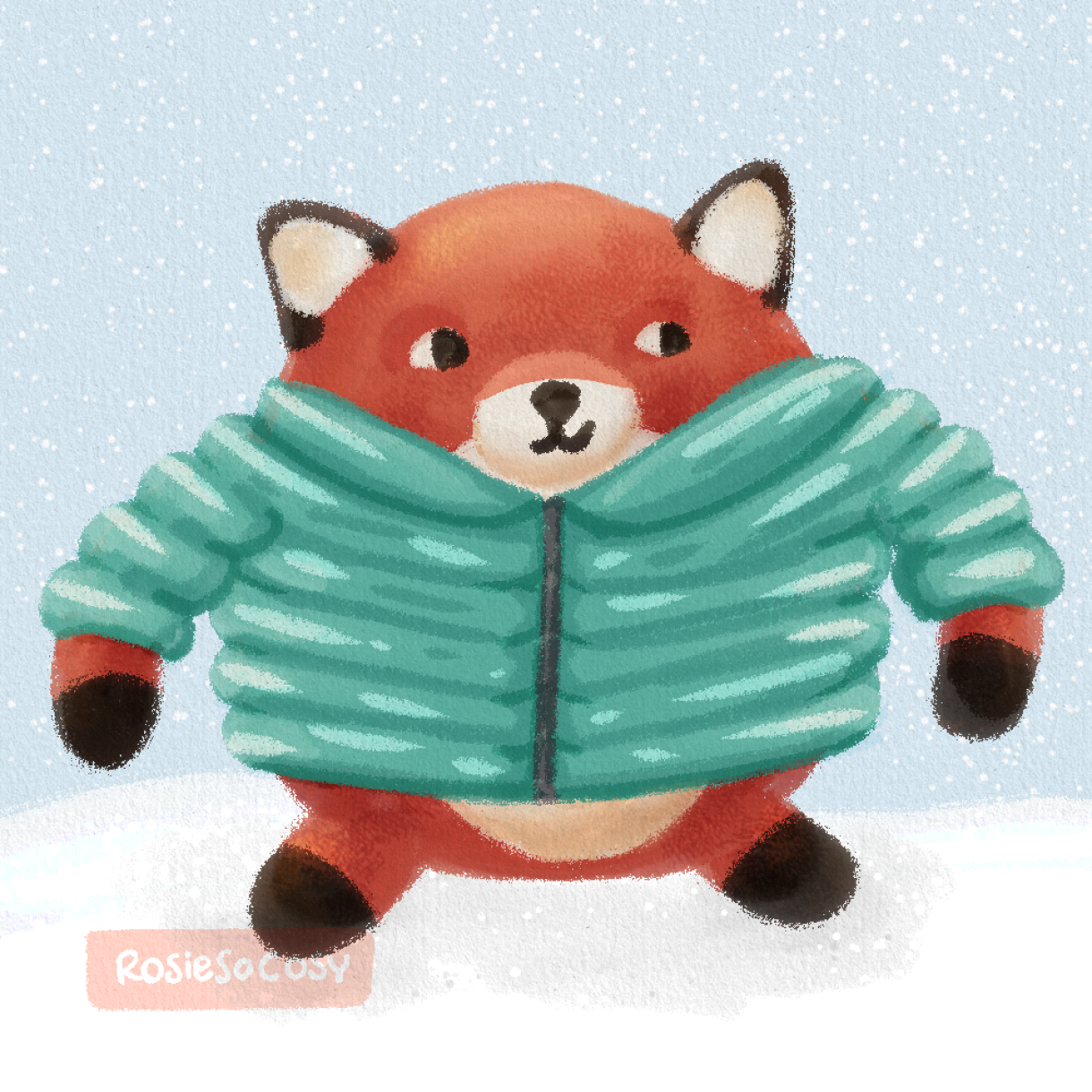 An illustration of super hero fox wearing a teal coloured winter coat.
